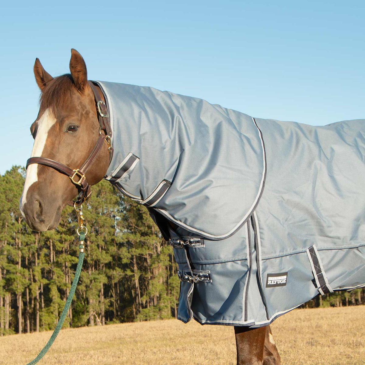 Light blue horse turnout blanket with detachable neck and front buckles, side view