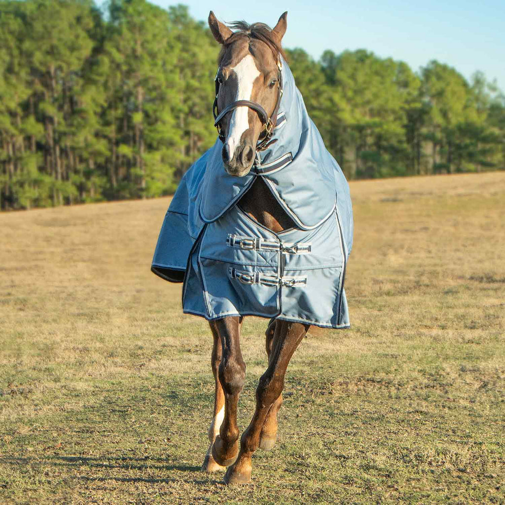 Light blue horse turnout blanket with detachable neck and front straps on a horse