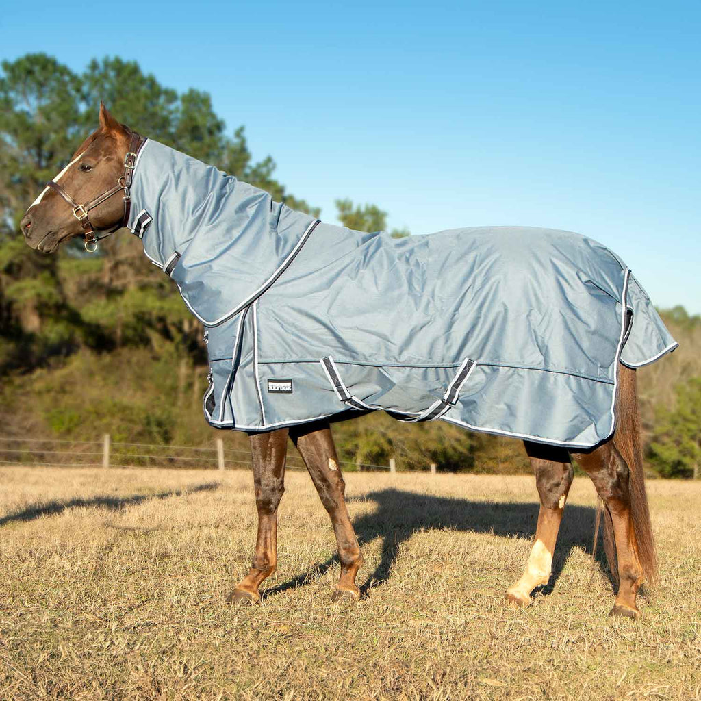 Light blue horse turnout blanket with detachable neck, full coverage on a standing horse