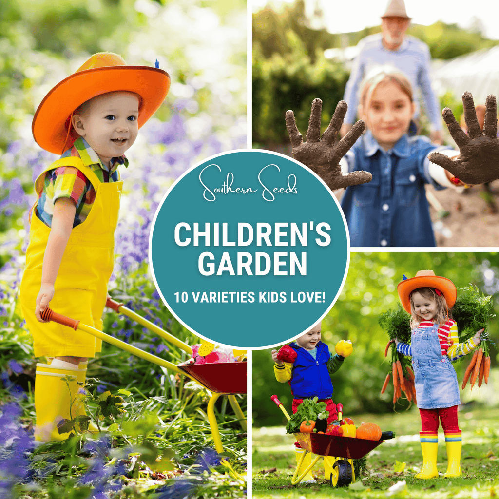 Kids garden seed collection, children planting in a garden with seedlings