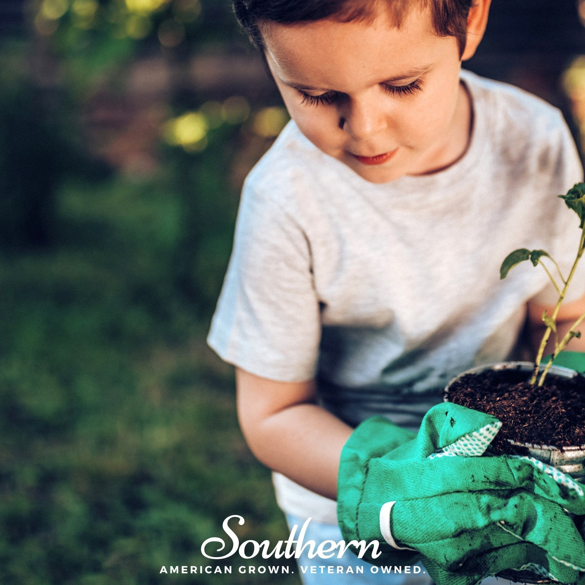 Kids garden seed collection, child with gardening gloves tending a small plant