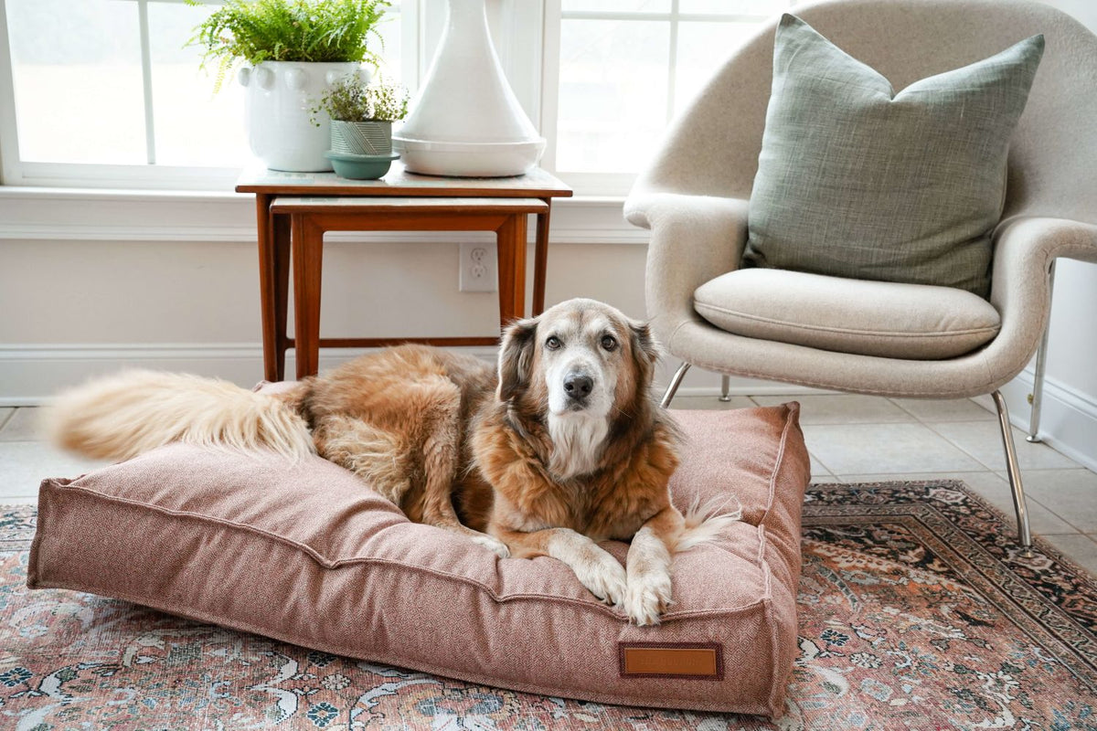 Dog lounger pet bed with bolster sides in dusty pink fabric and tan label