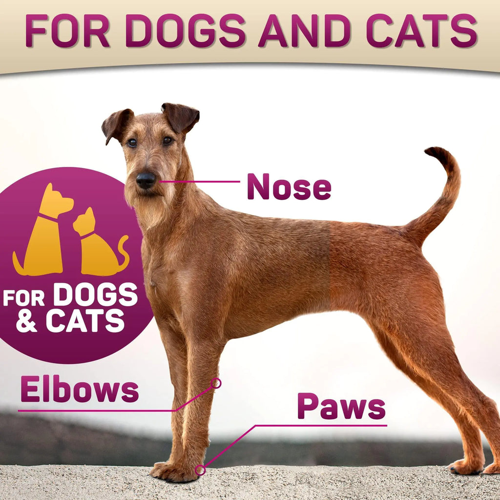 Dog and cat paw pad and nose balm diagram highlighting nose and paw protection.