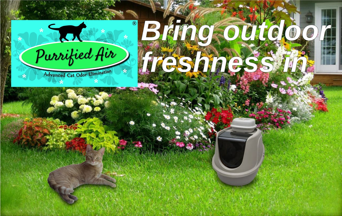 Outdoor air purifier unit on grass with colorful garden flowers and plants