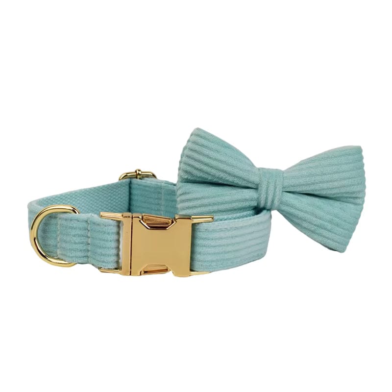 Light teal corduroy dog collar with gold buckle and matching detachable bowtie