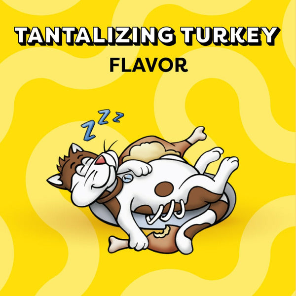 TEMPTATIONS turkey flavor cat treats graphic with sleeping cat illustration on yellow