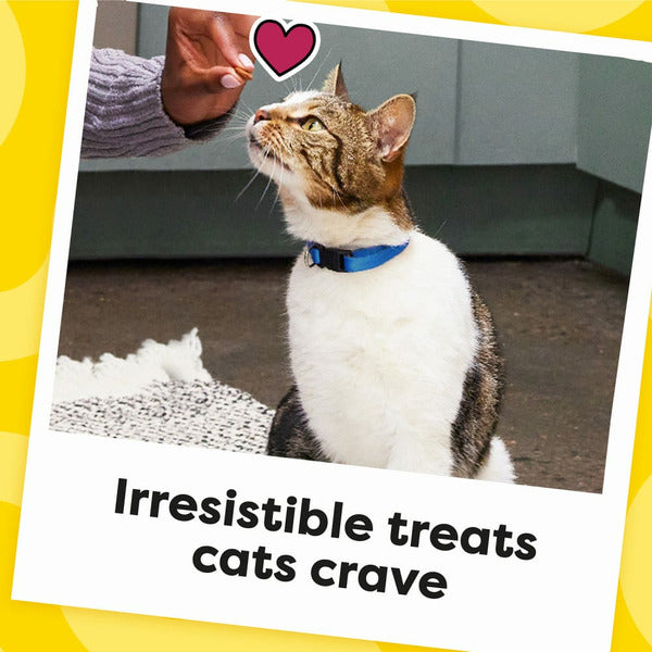Cat treat pouch insert showing a sitting cat with blue collar and heart icon
