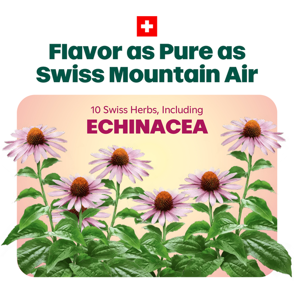 Echinacea herbal flavor pouch graphic with Swiss mountain air and purple flowers