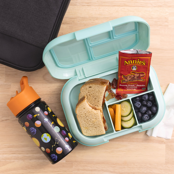 Organic strawberry fruit snack pouch in a mint lunch box with food items