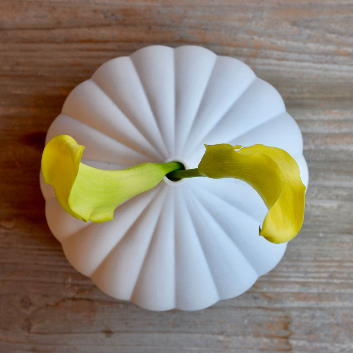 White textured porcelain vase with yellow calla-like flowers, round ribbed petal shape.