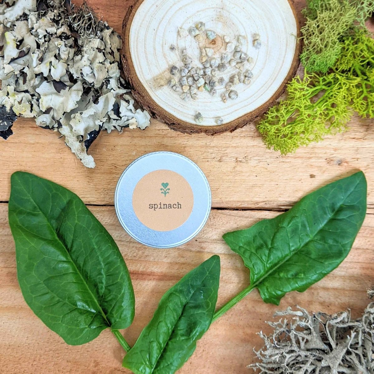 Spinach seed tin with label, surrounded by fresh spinach leaves on wood