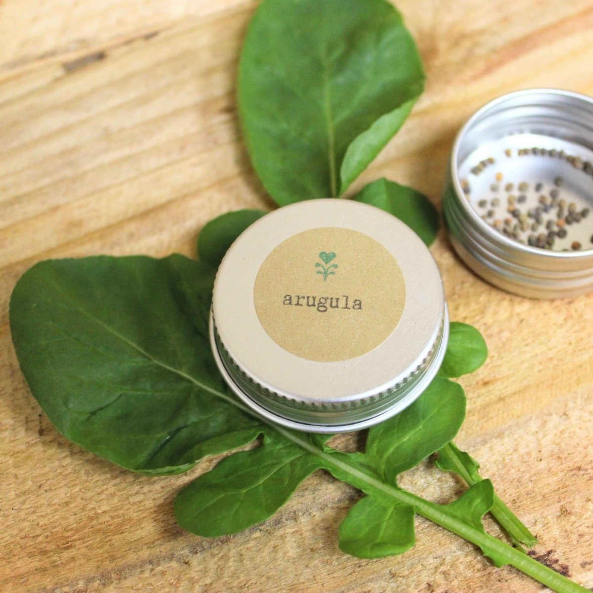 Arugula seed tin with label on wood, with arugula leaves and extra seeds nearby