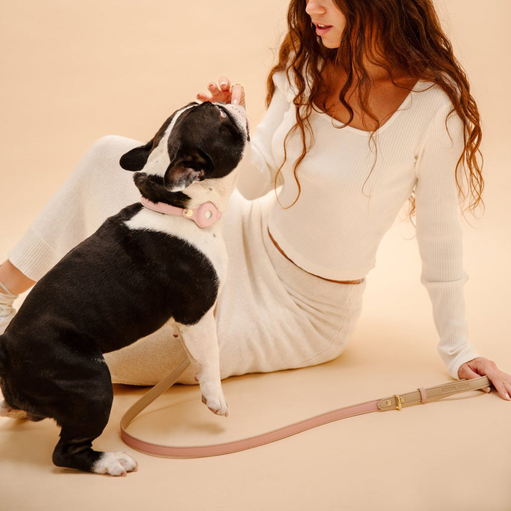 Light pink vegan leather dog leash on a seated dog held by a person