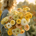 Lemon meringue zinnia seeds: mixed yellow, cream, and peach flower heads bouquet