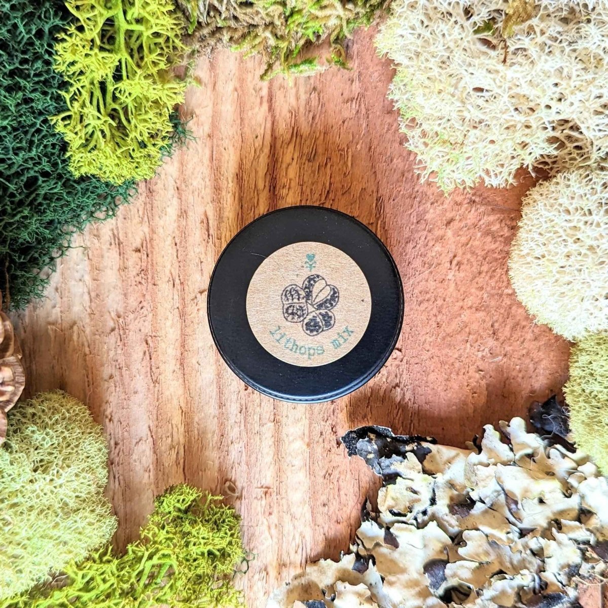 Lithops living stone seeds tin lid with logo