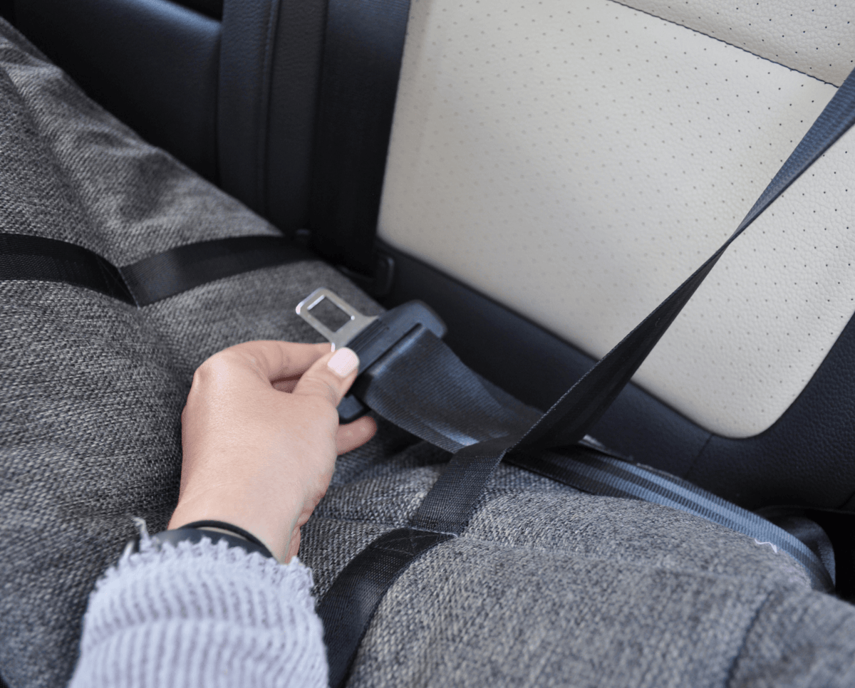 Gray tweed dog car bed with strap buckle fastened beside seat