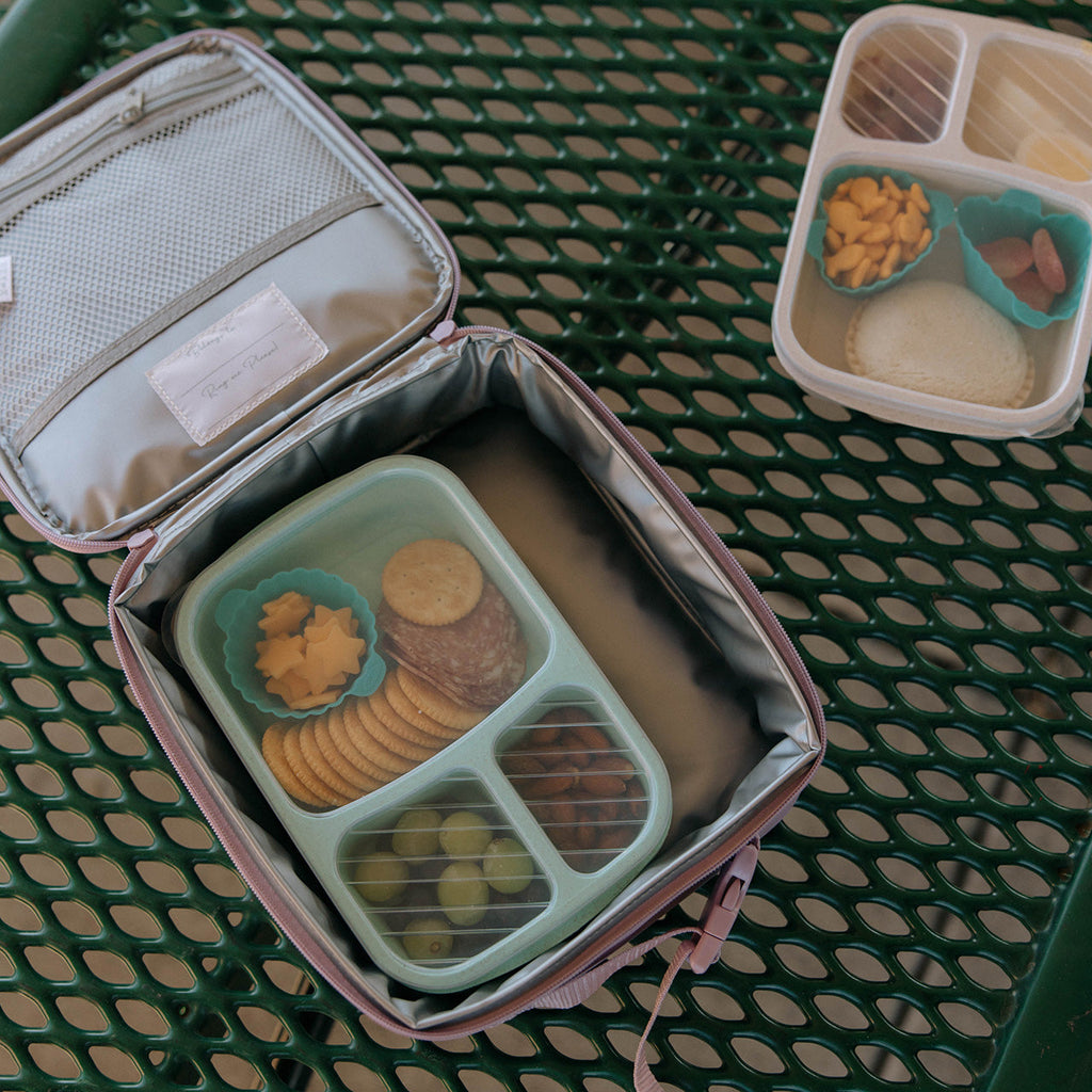 Open insulated lunch box with divided compartments for small food items