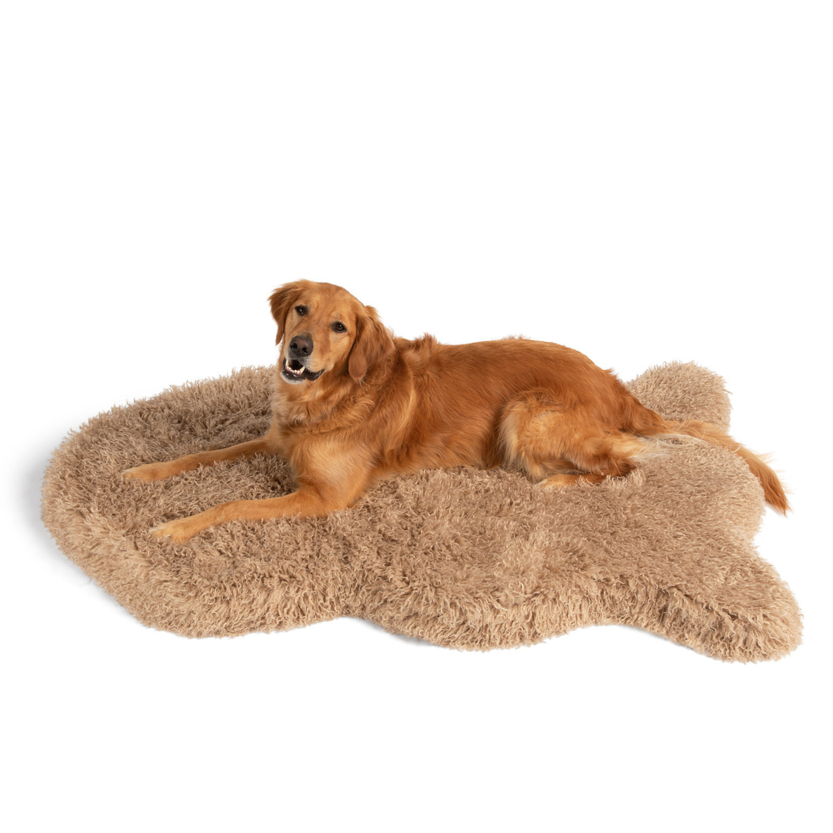 Tan plush faux fur dog bed with golden retriever lying on the curled bed