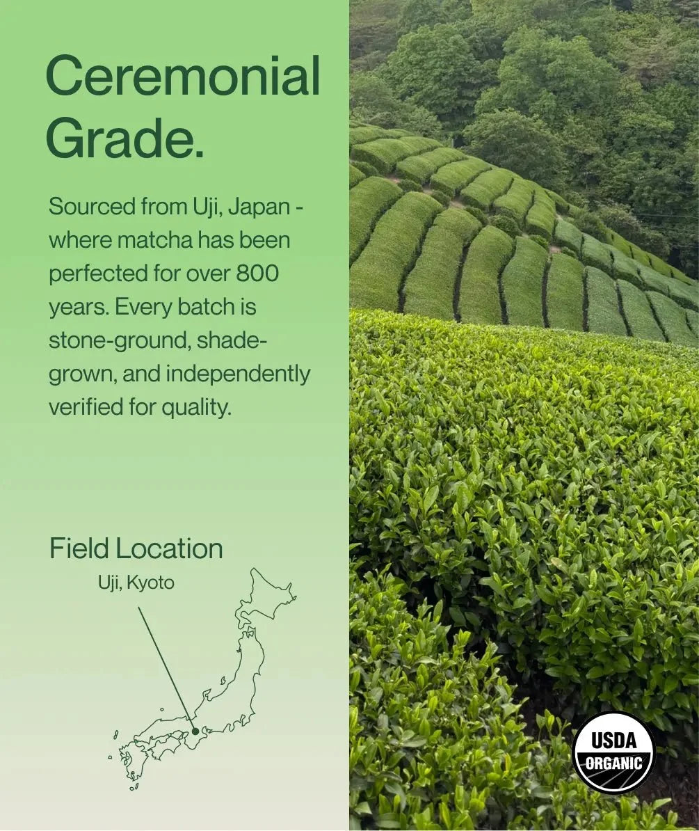Ceremonial grade matcha tea field with rows of green leaves and USDA Organic seal