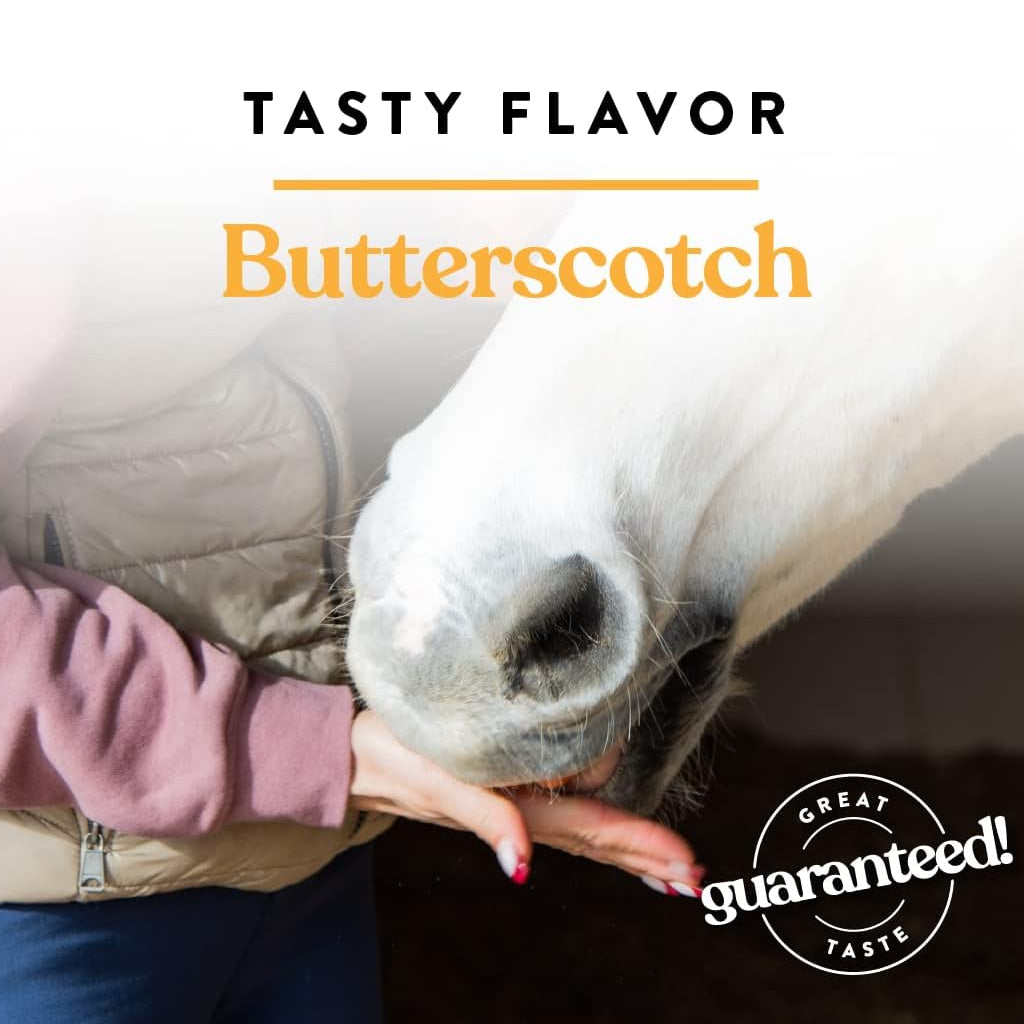 Butterscotch nugget horse treats held near a white horse’s nose