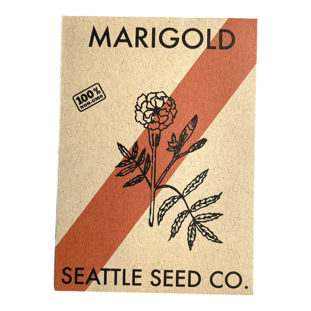 Marigold seed packet, beige and terracotta with marigold illustration