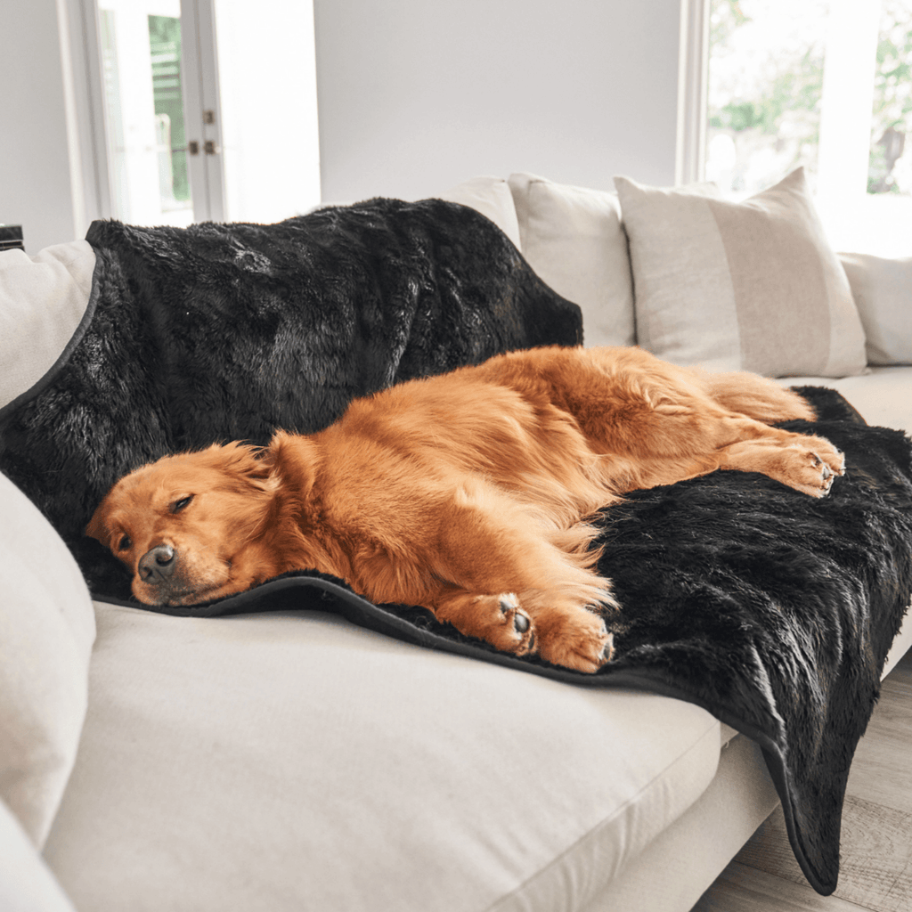 Midnight black faux-fur waterproof throw blanket with soft edge, resting on a sofa.
