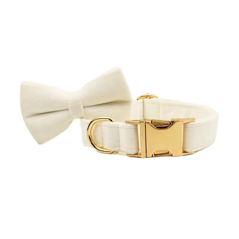 Ivory velvet dog collar with large bowtie and gold-tone buckle hardware