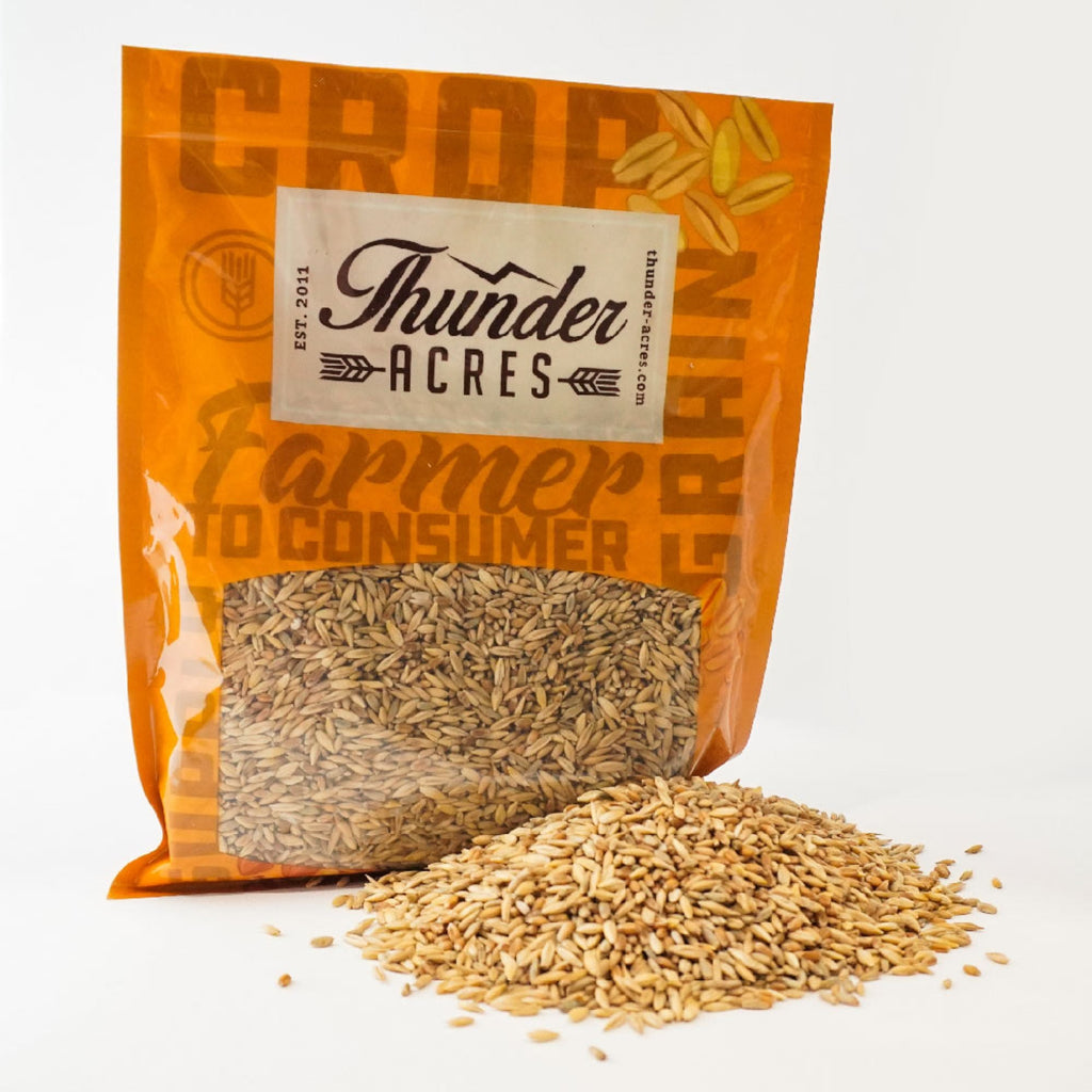 Thunder Acres cat grass seed blend in orange bag with loose seeds