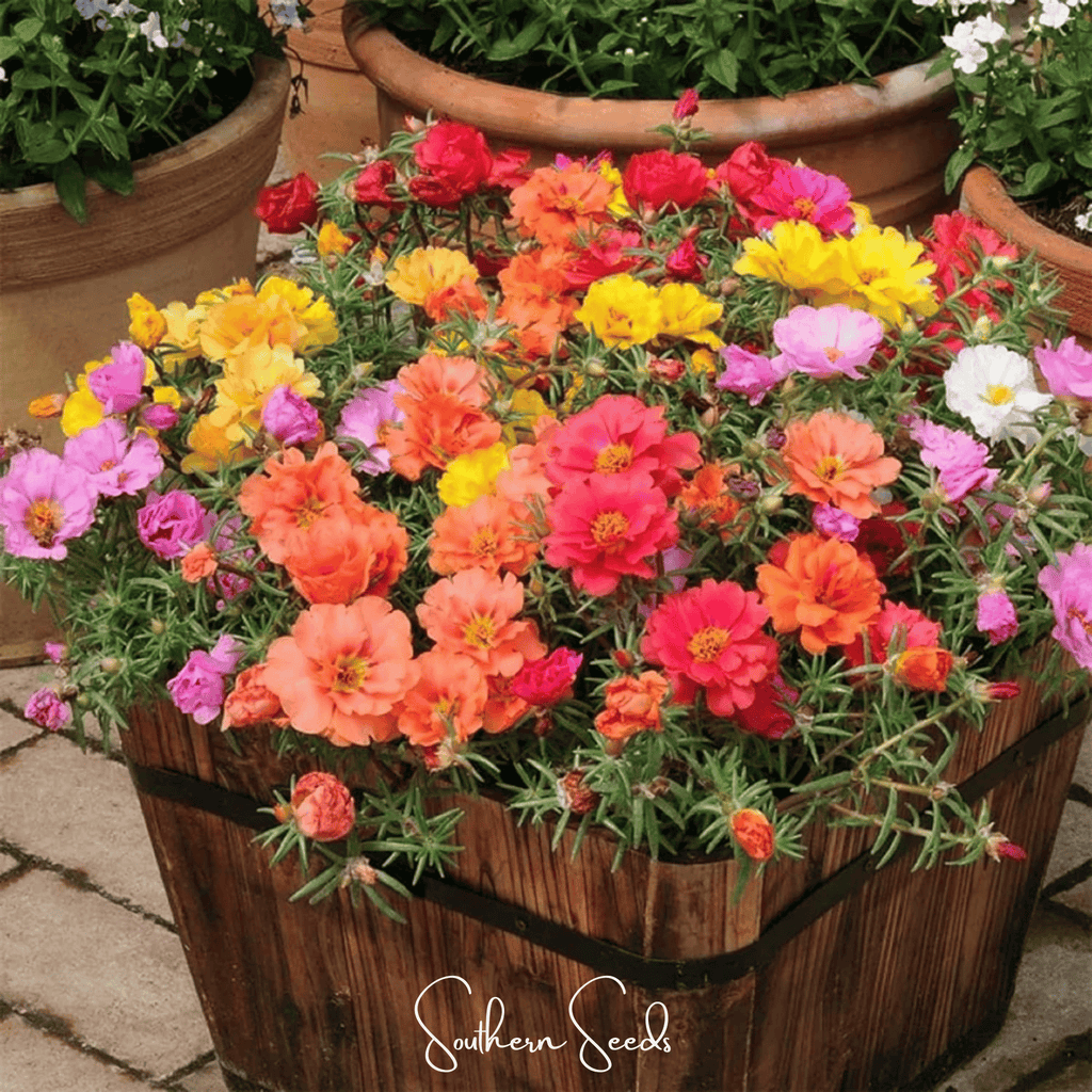 Multicolor cut-flower blooms in a wooden planter basket with green foliage