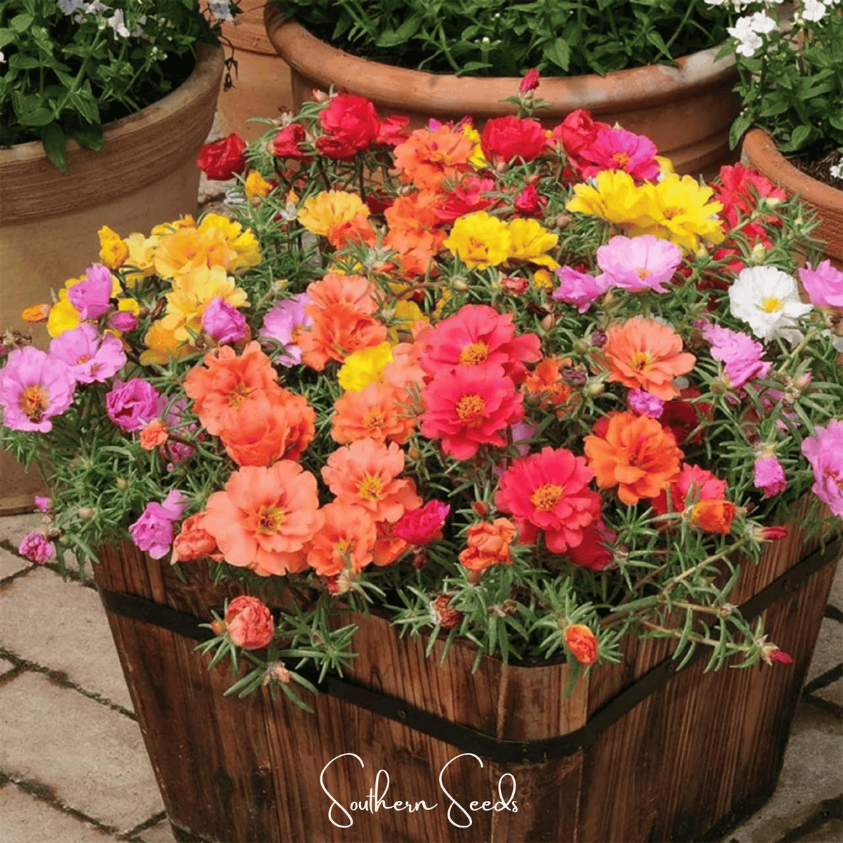 Multicolor cut-flower blooms in a wooden planter basket with green foliage