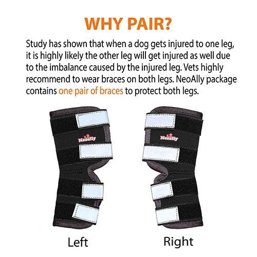 Pair of dog rear leg braces, left and right, black wraps with reflective strap panels
