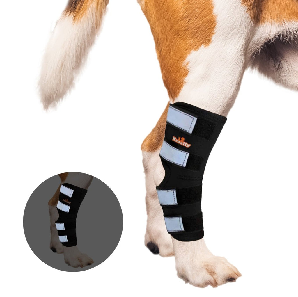 Black rear leg brace on dog leg with four reflective strap panels and Velcro closure