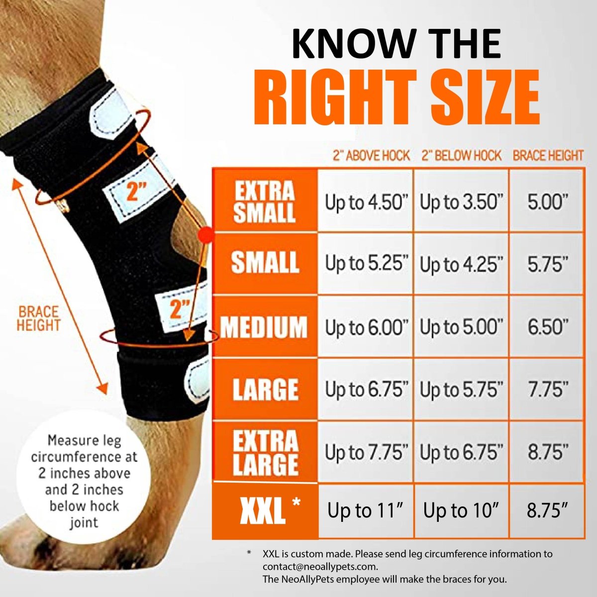 Dog rear leg brace sizing chart with black brace showing strap and brace height measurements