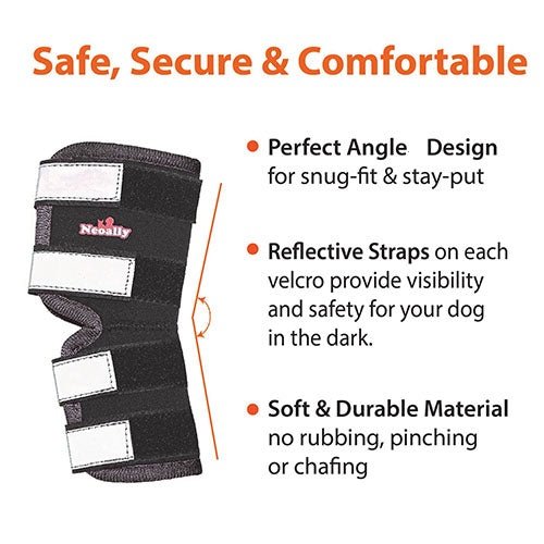 Black dog rear leg brace with reflective strap pads and padded wrap detail