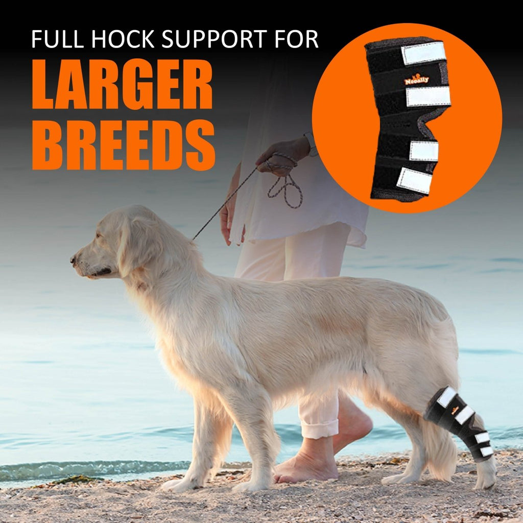 Dog rear leg hock brace, black with white padded straps and reflective detailing