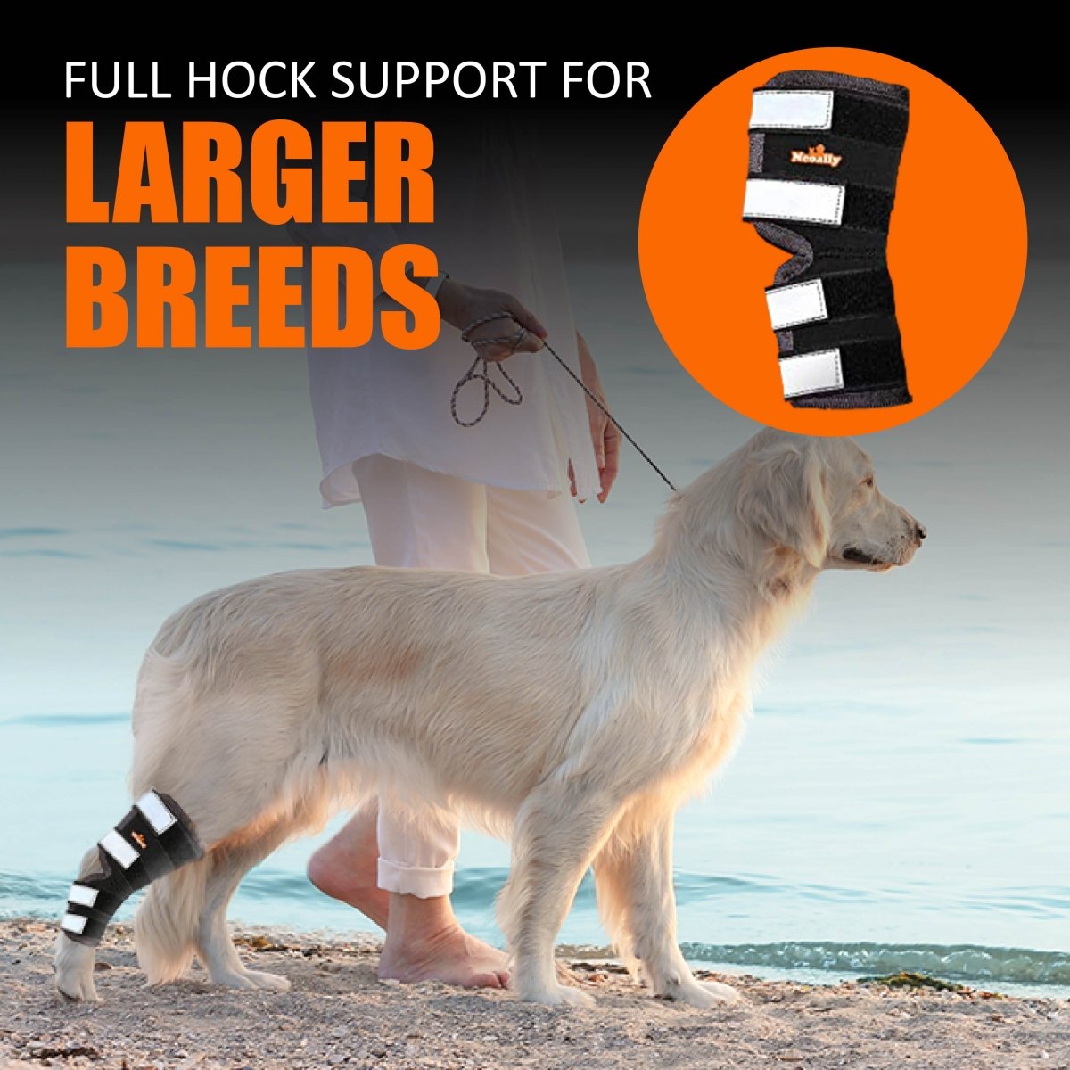 Dog rear leg hock brace with reflective straps, black fabric with white pads