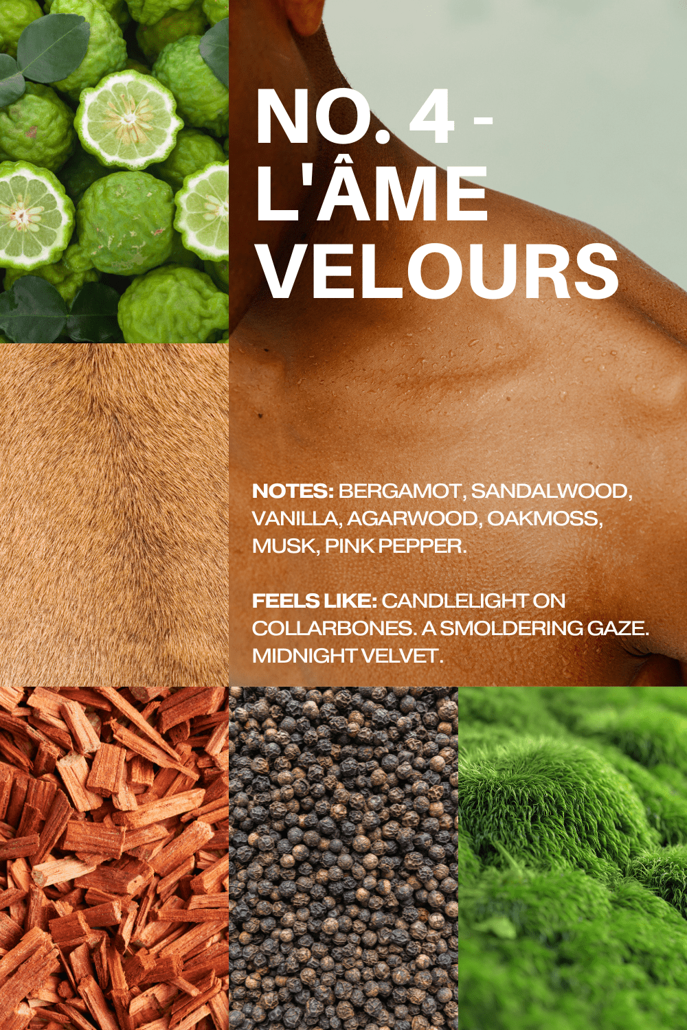 No. 4 - L'Âme Velours perfume note collage with bergamot, sandalwood, vanilla, and pepper