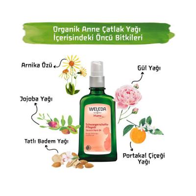 Weleda stretch mark oil bottle with pump, botanical oil illustrations