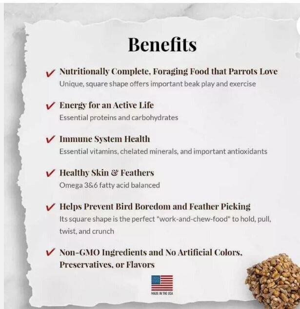 Parrot bird food benefits panel listing nutrition, energy, immune health, skin