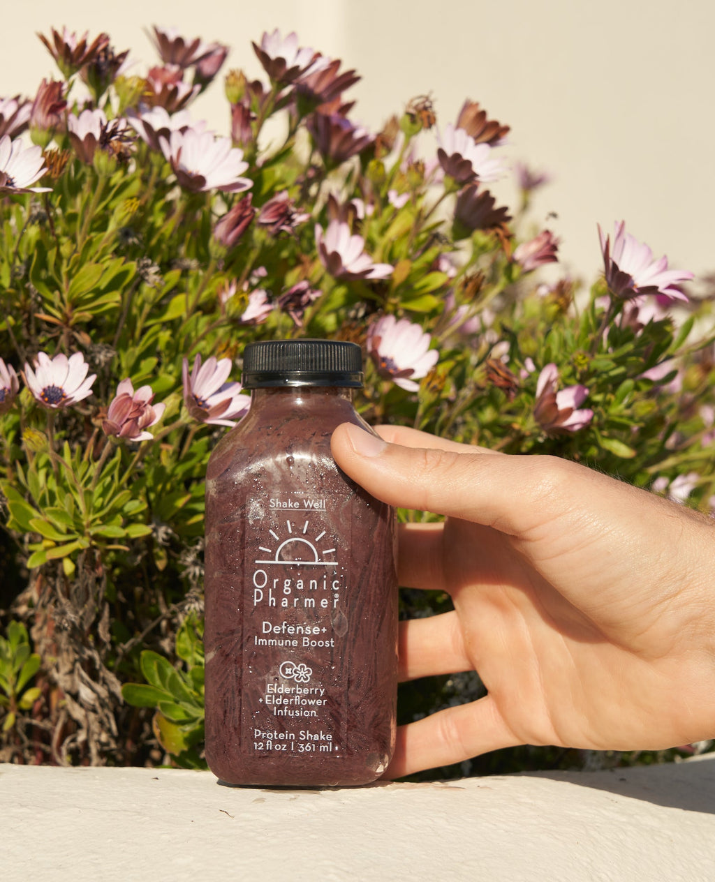 Organic Pharmer Defense+ protein shake bottle held in hand outdoors