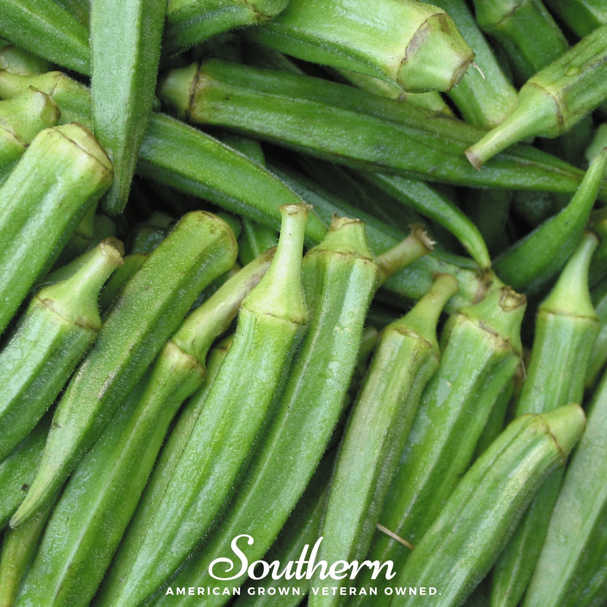 Close-up of green okra pods with ridged textures