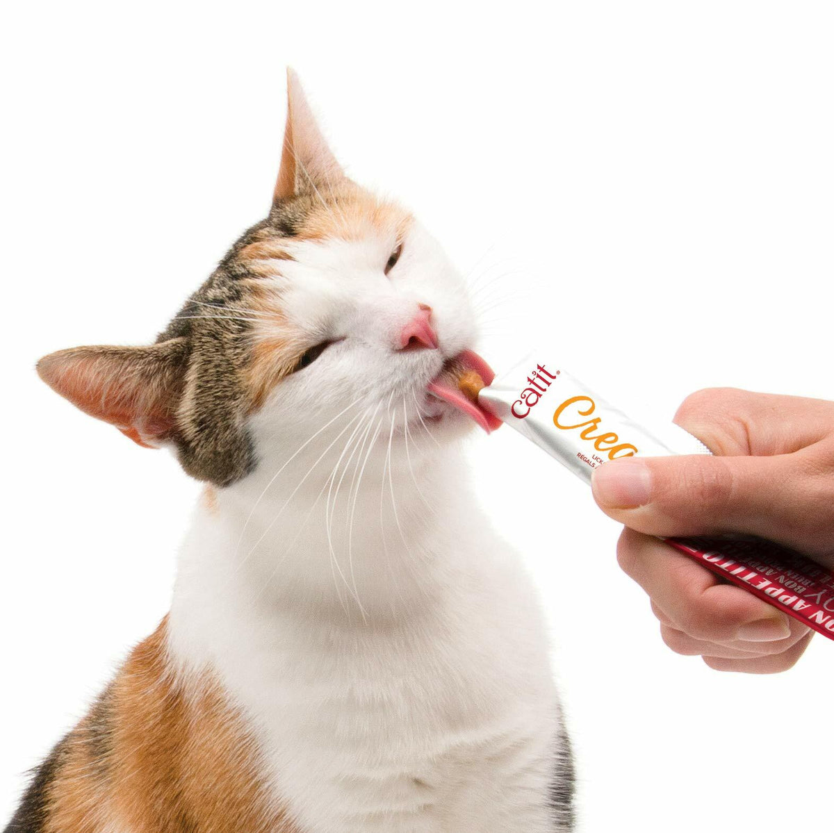 Catit Creamy lickable salmon cat treat being offered to an orange-and-white cat