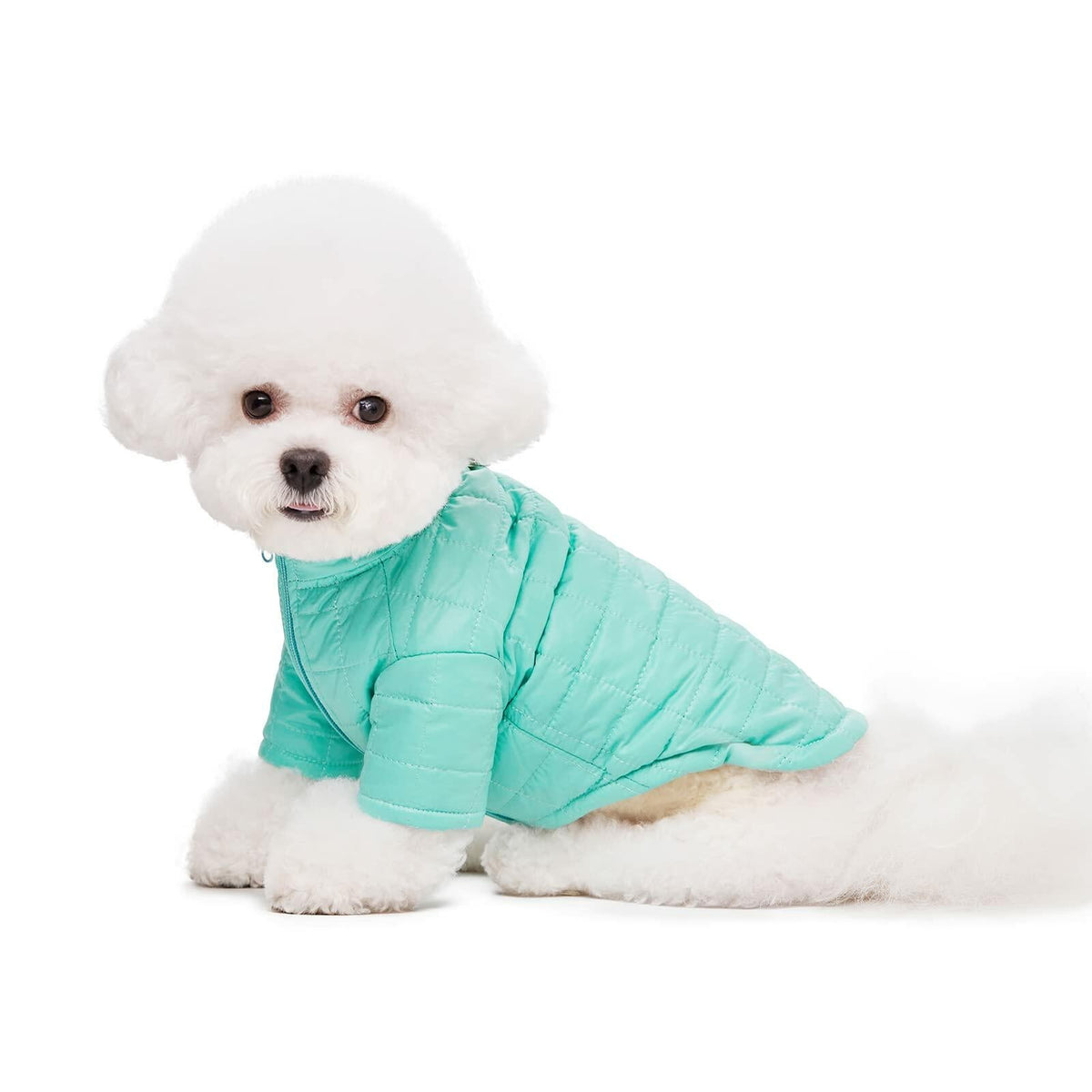 Teal puffer dog coat with high collar and full zipper front