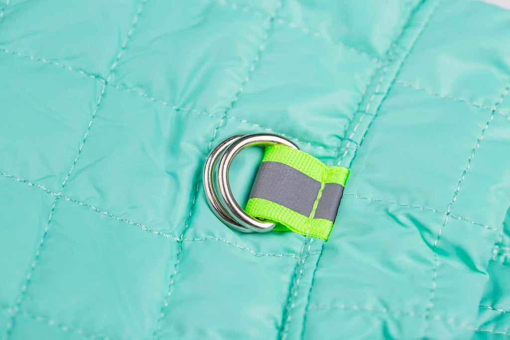 Close-up of teal dog coat snap and metal D-ring with green strap