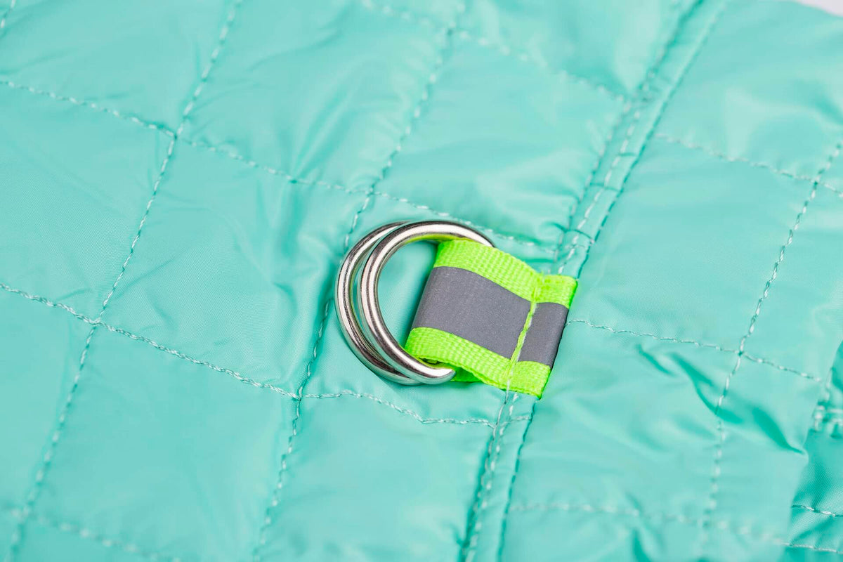 Close-up of teal dog coat snap and metal D-ring with green strap