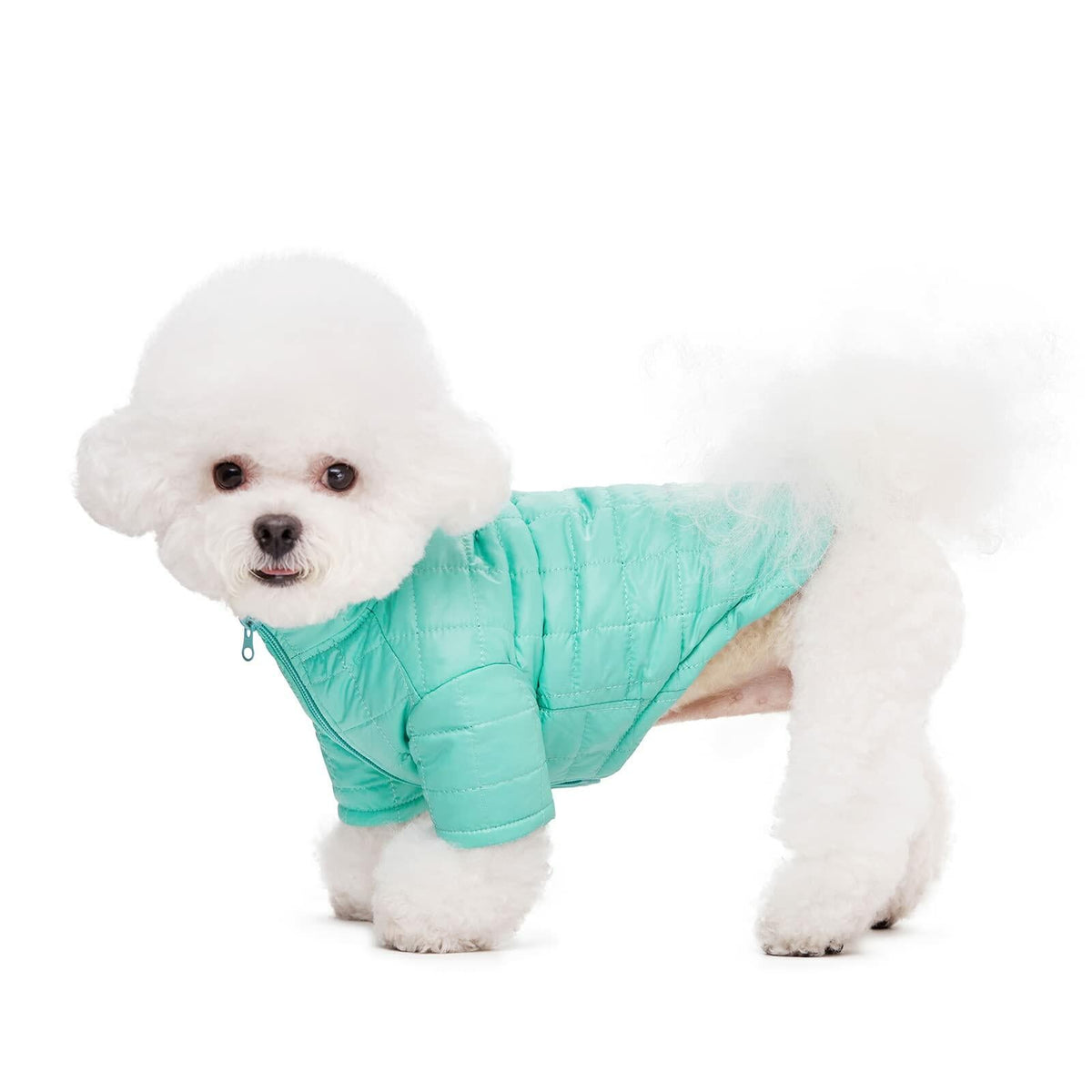 Teal quilted dog coat with hoodless high collar and zipper front