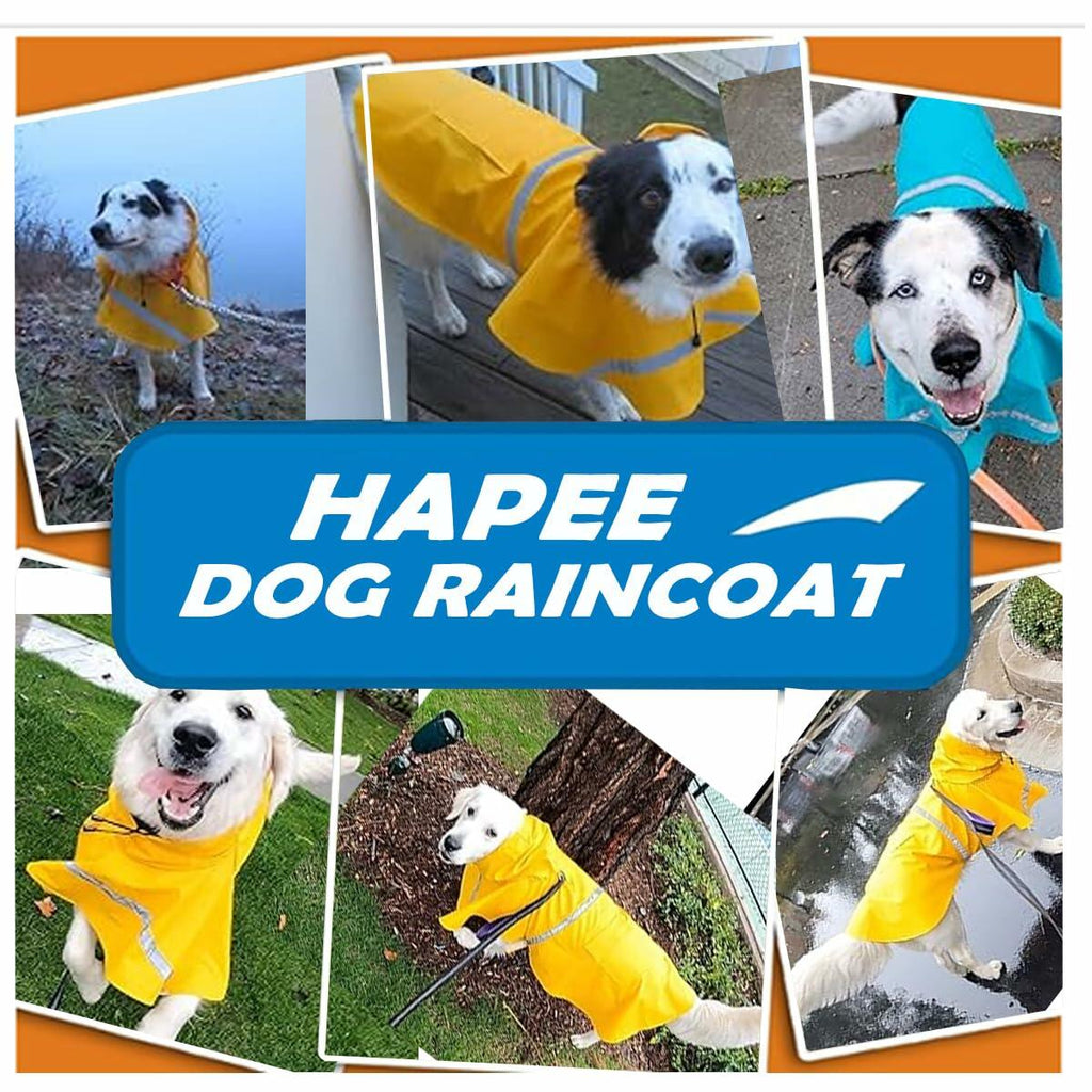 Dog wearing yellow reflective raincoat poncho with cartoon print