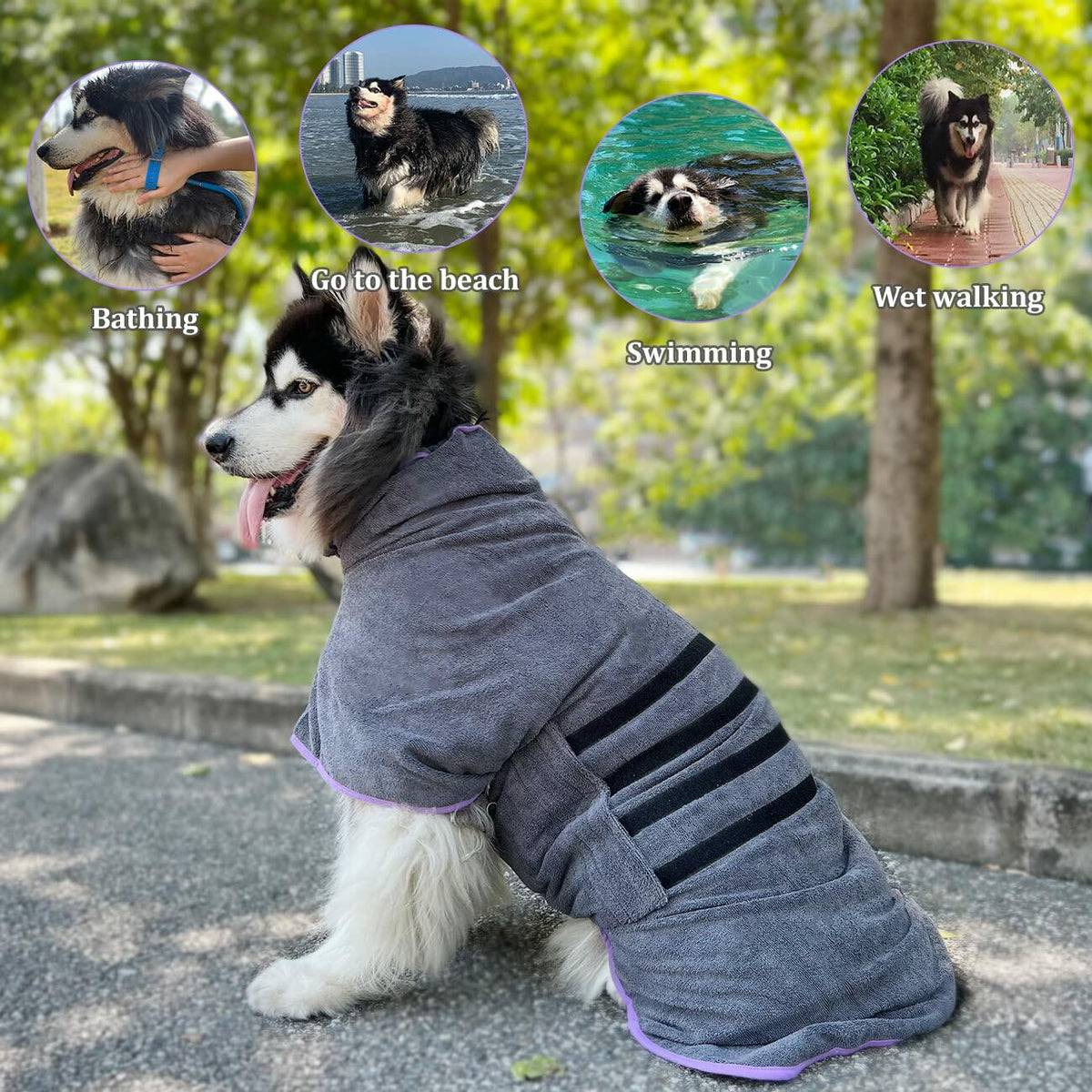 Gray microfiber dog drying robe with purple trim; adjustable drape around body and neck