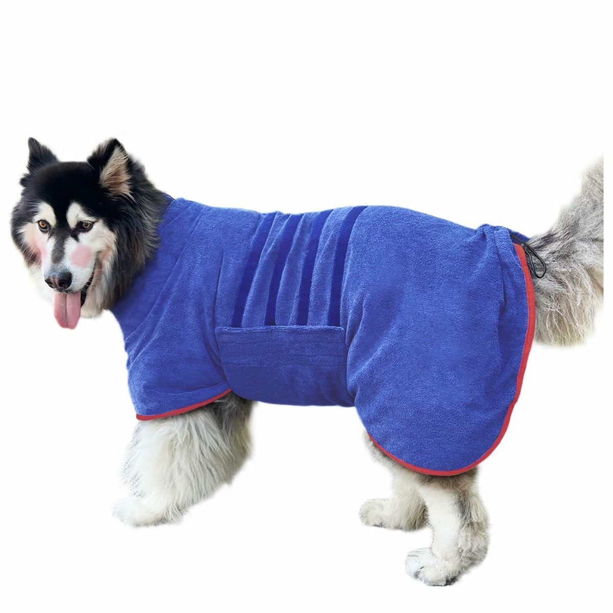 Blue microfiber dog drying robe towel with hoodless cutout and red-trim side edge