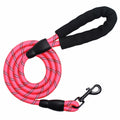 Pink reflective dog leash with black padded handle and metal clasp